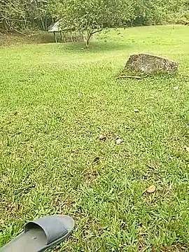 Mycansonhot online show from 23, 10, 2025