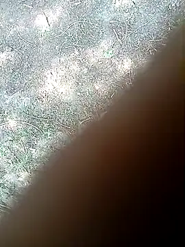 bairobunde online show from 21, 3, 2026