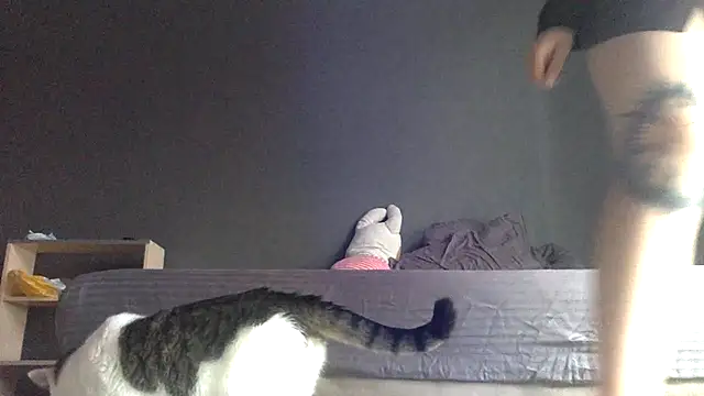 Snapshot of bysinka18 chatting on 9, 6, 2026 bysinka18 online show from 9, 6, 2026