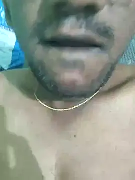 wildfun  online show from 8, 3, 2025