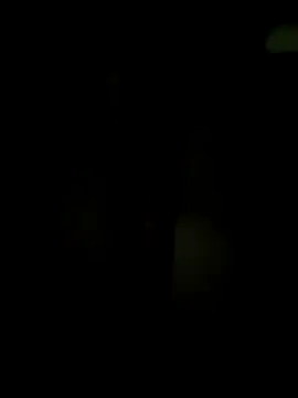 wildfun  online show from 18, 3, 2025