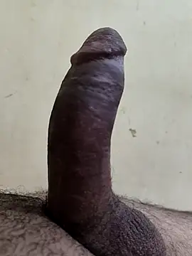 Snapshot of alkhabiir chatting on 25, 11, 2025 alkhabiir online show from 25, 11, 2025