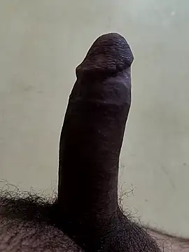 Snapshot of alkhabiir chatting on 8, 1, 2026 alkhabiir online show from 8, 1, 2026