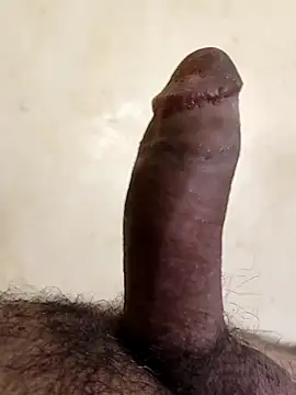 Snapshot of alkhabiir chatting on 11, 1, 2026 alkhabiir online show from 11, 1, 2026