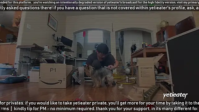 Snapshot of yetieater chatting on 13, 2, 2025 yetieater online show from 13, 2, 2025