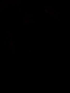 viviksmel online show from 25, 10, 2025