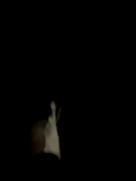 Snapshot of Dasul_ chatting on 11, 10, 2025 Dasul online show from 11, 10, 2025