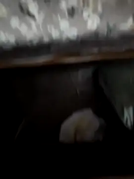 horniestboi online show from 20, 4, 2026