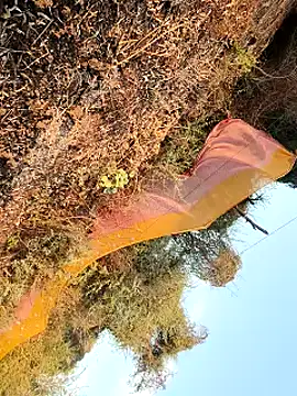 himvilohi08 online show from 25, 3, 2026