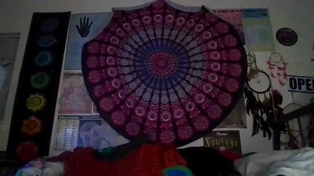 Snapshot of GardeniaFields chatting on 2, 3, 2026 GardeniaFields online show from 2, 3, 2026