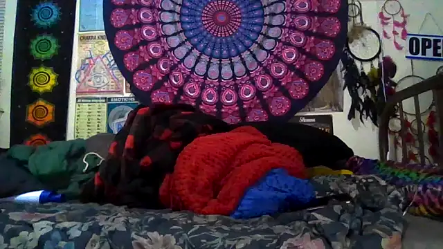 Snapshot of GardeniaFields chatting on 8, 3, 2026 GardeniaFields online show from 8, 3, 2026