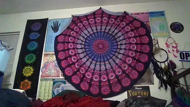 Snapshot of GardeniaFields chatting on 20, 3, 2026 GardeniaFields online show from 20, 3, 2026