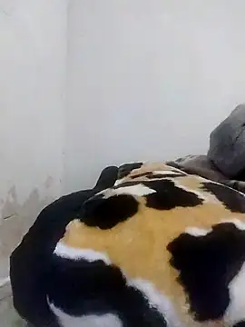 Snapshot of CertifiedSatisfier chatting on 29, 10, 2025 CertifiedSatisfier online show from 29, 10, 2025