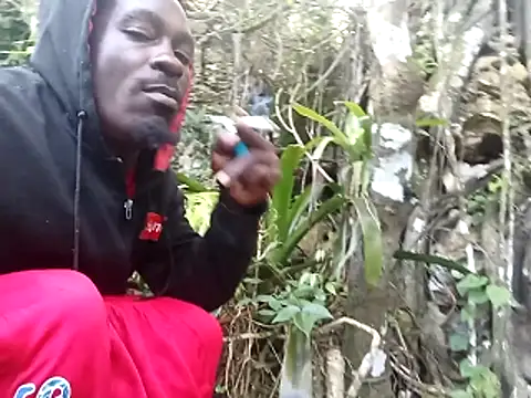 rasvinchi online show from 31, 3, 2026