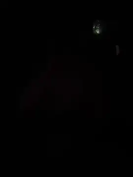 Hugo34bg online show from 13, 2, 2026