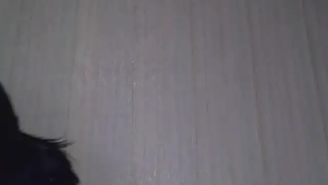  Black-Panther  online show from 20, 10, 2025