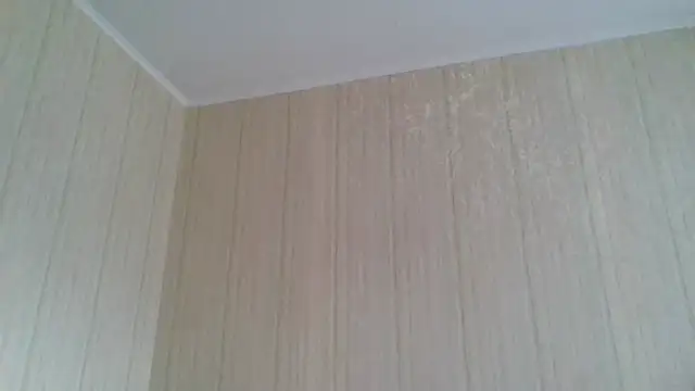  Black-Panther  online show from 11, 2, 2026