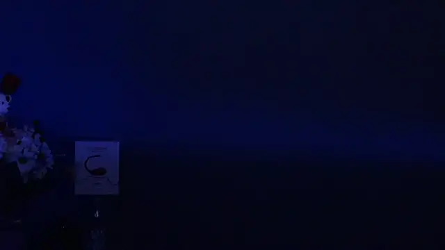 Snapshot of Amesthyst_destiny chatting on 22, 3, 2025 Amesthyst destiny online show from 22, 3, 2025