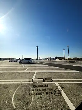 ikeike-kun online show from 2, 2, 2026