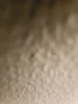 ikeike-kun online show from 8, 4, 2026