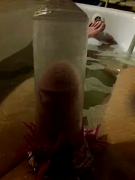 Tomassasdss online show from 16, 12, 2025