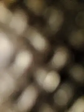 Snapshot of geilerschwanz556r7 chatting on 30, 9, 2025 geilerschwanz556r7 online show from 30, 9, 2025