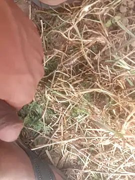 perplexedsoul online show from 1, 12, 2025