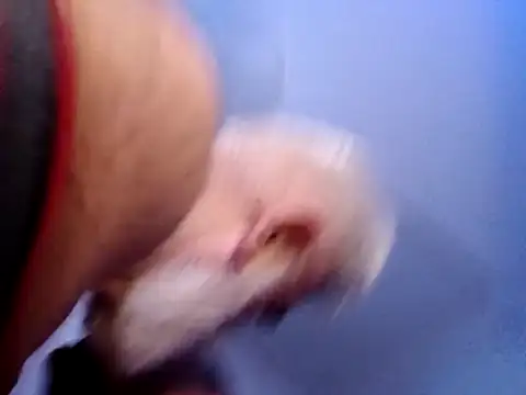 CloudyMuscleBeefy online show from 26, 11, 2025