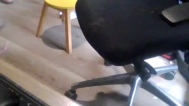 latexsub75 online show from 16, 3, 2026