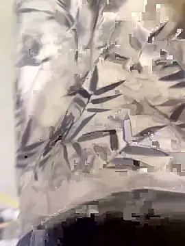 Snapshot of xiaoyuan01 chatting on 10, 10, 2025 xiaoyuan01 online show from 10, 10, 2025