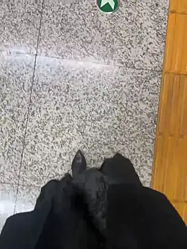 Snapshot of xiaoyuan01 chatting on 31, 10, 2025 xiaoyuan01 online show from 31, 10, 2025