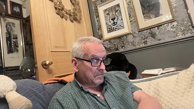 poggles online show from 3, 4, 2026