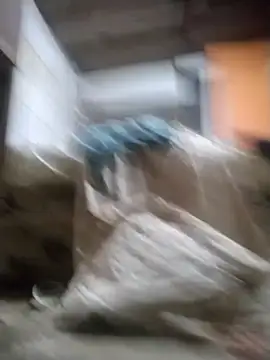 srtsara online show from 14, 12, 2025