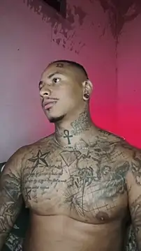 David tatto1 online show from 14, 2, 2026