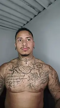 David tatto1 online show from 11, 7, 2026