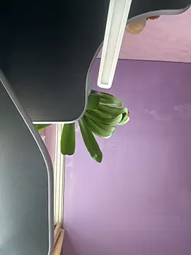 Snapshot of Soft_Pleasure chatting on 22, 10, 2025 Soft Pleasure online show from 22, 10, 2025