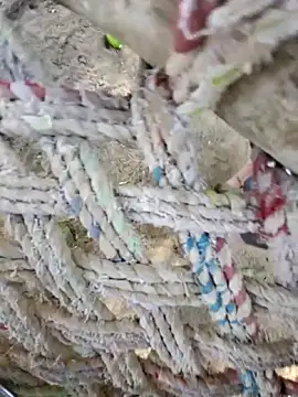 Naveen9100Unity online show from 12, 4, 2026