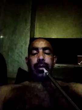 salimbasha online show from 8, 5, 2026