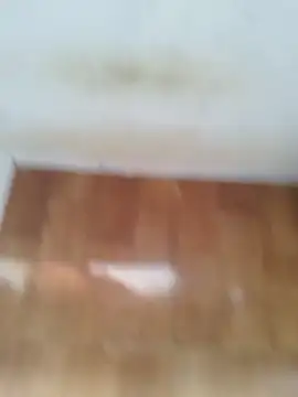 Snapshot of O_Mascarado_NK chatting on 21, 3, 2026 O Mascarado NK online show from 21, 3, 2026