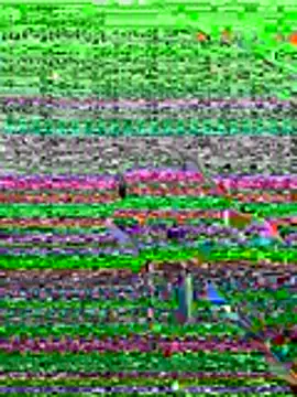 Snapshot of kamo012000 chatting on 19, 6, 2026 kamo012000 online show from 19, 6, 2026