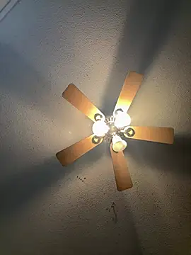 carlithefreak online show from 8, 2, 2026