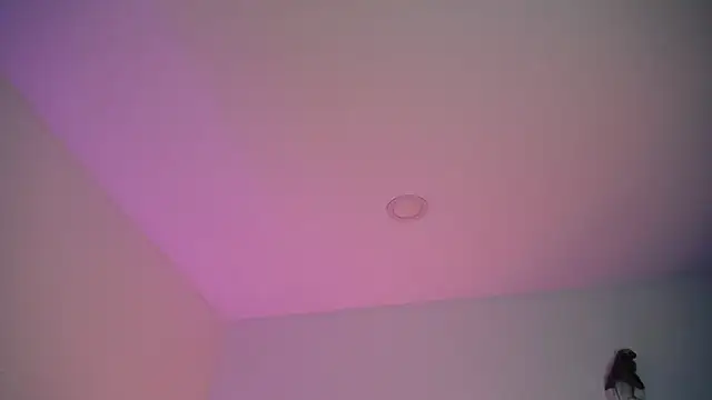 Snapshot of Stepha_babe chatting on 8, 9, 2025 Stepha babe online show from 8, 9, 2025