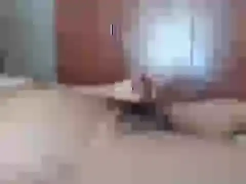 Snapshot of Culazodeantonellarocuzzo chatting on 26, 2, 2026 Culazodeantonellarocuzzo online show from 26, 2, 2026