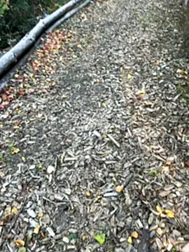 Snapshot of Mlkrrp chatting on 10, 10, 2025 Mlkrrp online show from 10, 10, 2025