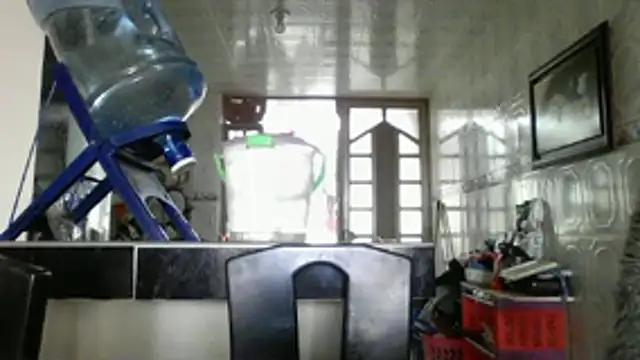 ALANA 150 online show from 19, 1, 2026