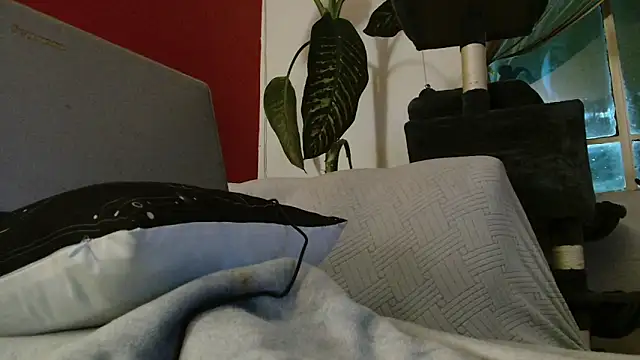 Tulindabonny online show from 6, 3, 2026