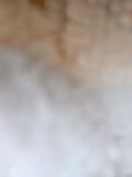 Snapshot of Radsj@xh chatting on 17, 12, 2025 Radsjxh online show from 17, 12, 2025