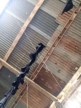 Davir2001 online show from 14, 3, 2026