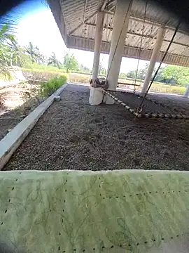 Desi Horny Boys online show from 24, 3, 2026