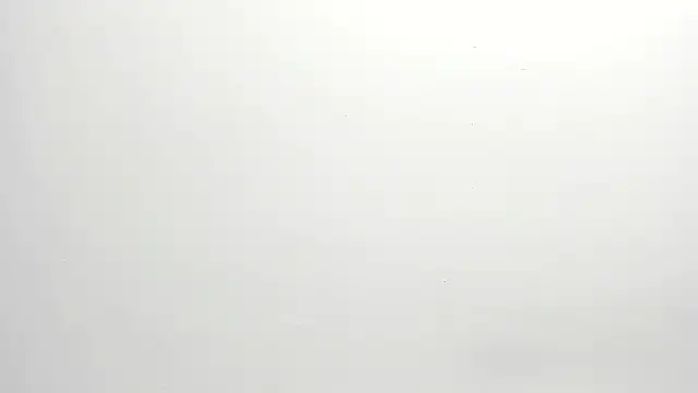 ximena vasquez8 online show from 17, 12, 2025